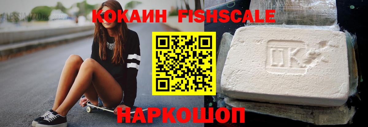 Cocaine Fish Scale  Вход с VPN  Топки 