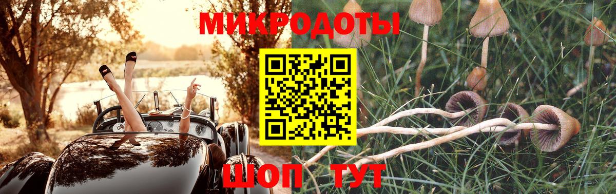 Псилоцибиновые грибы Psilocybe Топки