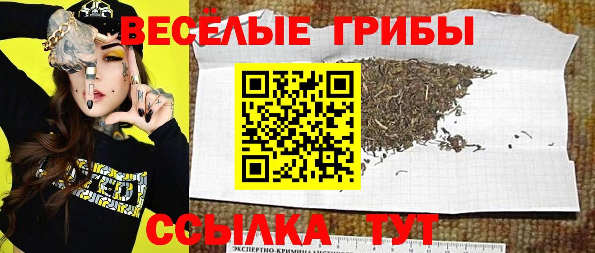 Топки  Псилоцибиновые грибы мицелий  Вход с VPN 